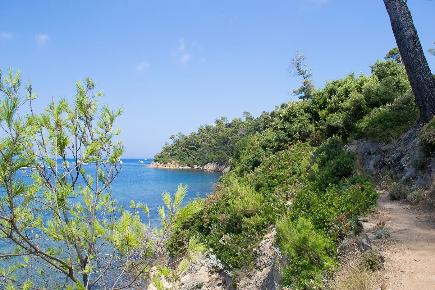 Sentier côtier de Port-Cros au-dessus d'une mer bleue