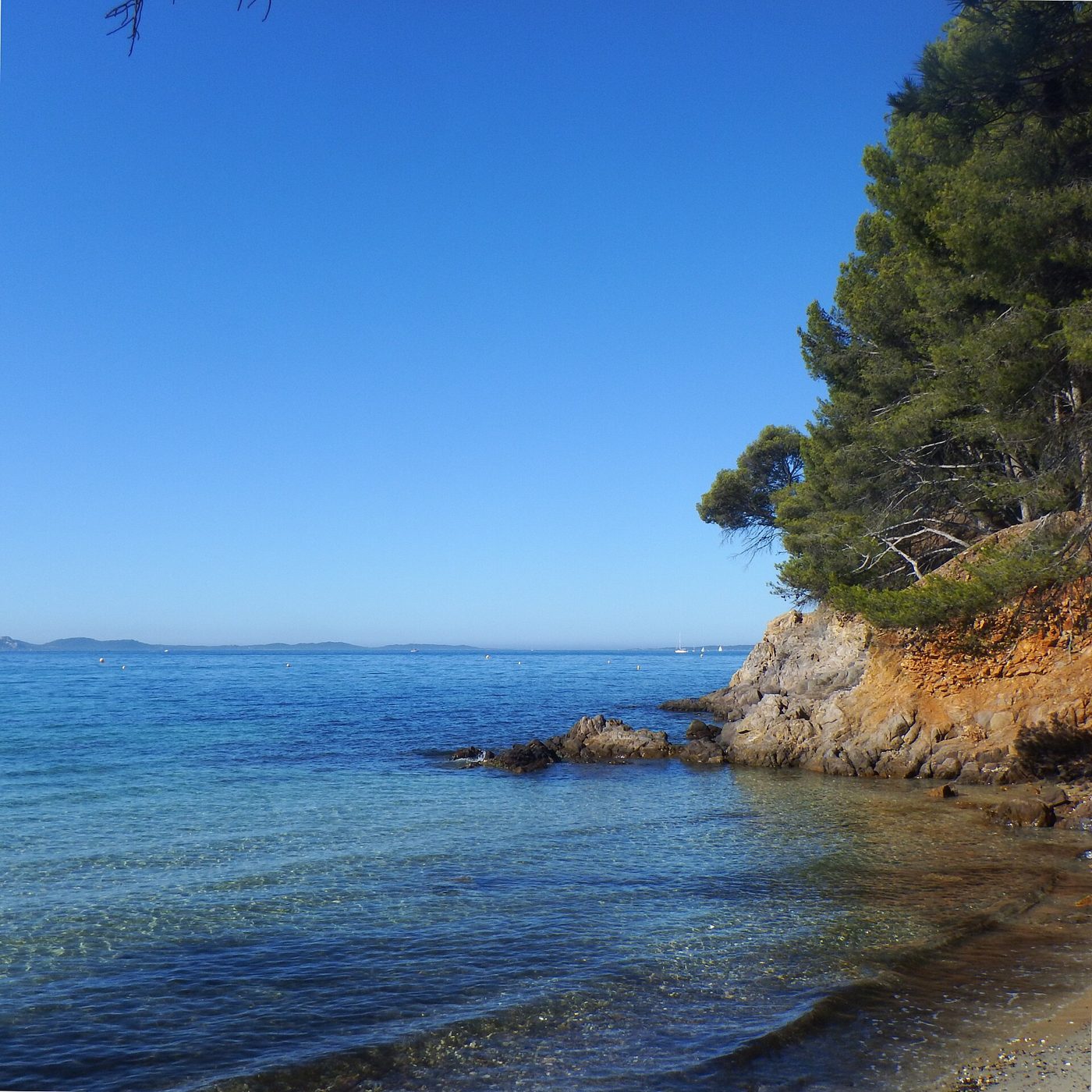 Crique aux eaux turquoise et pins sur la plage du Pellegrin, La Londe-les-Maures